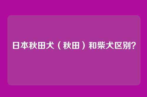 日本秋田犬(秋田)和柴犬区别?