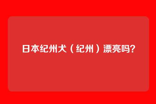 日本纪州犬（纪州）漂亮吗？