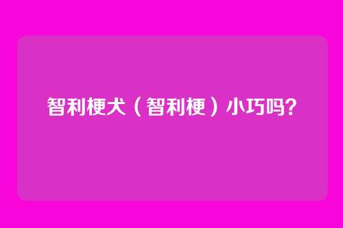 智利梗犬(智利梗)小巧吗?