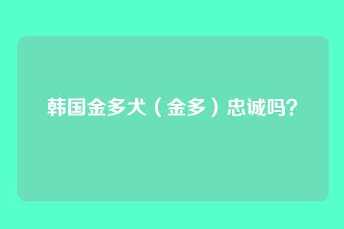 韩国金多犬(金多)忠诚吗?