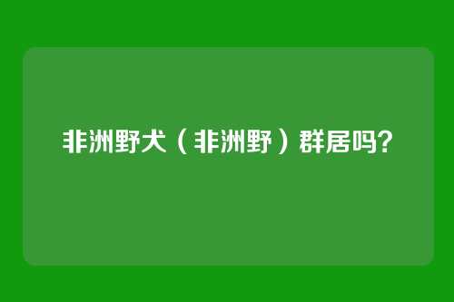 非洲野犬（非洲野）群居吗？