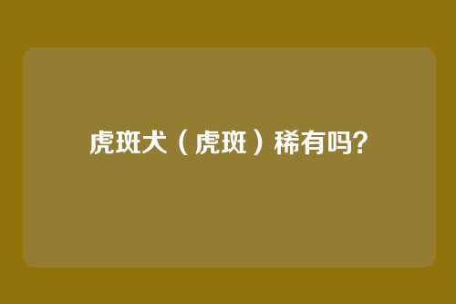 虎斑犬（虎斑）稀有吗？