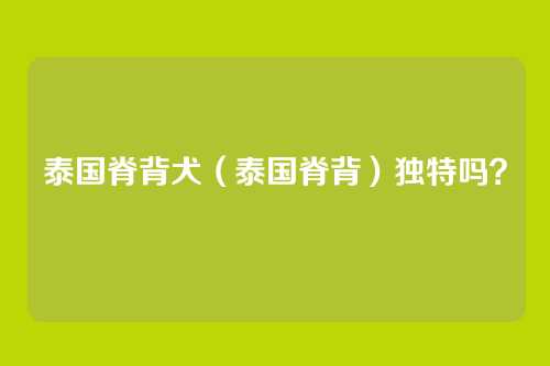 泰国脊背犬(泰国脊背)独特吗?