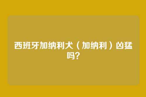 西班牙加纳利犬（加纳利）凶猛吗？