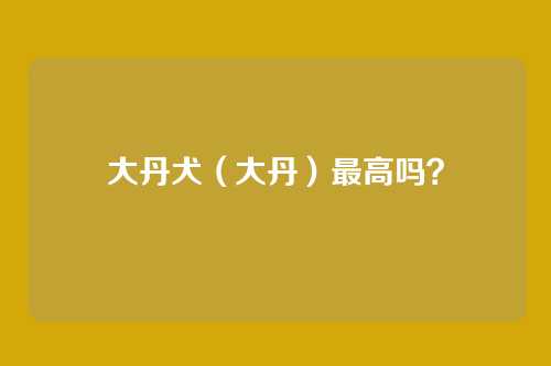 大丹犬(大丹)最高吗?