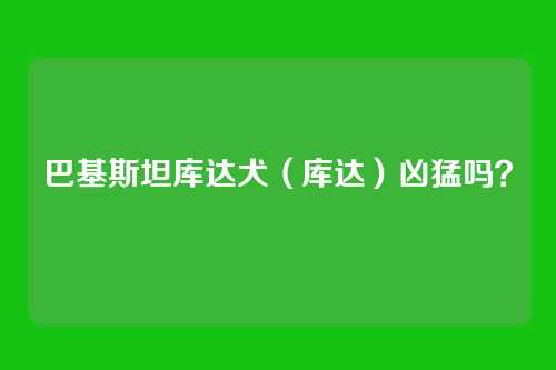 巴基斯坦库达犬（库达）凶猛吗？