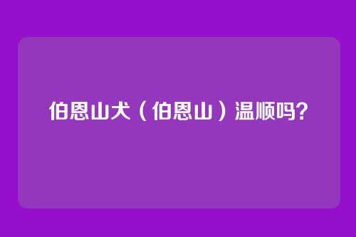 伯恩山犬(伯恩山)温顺吗?
