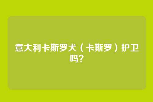 意大利卡斯罗犬（卡斯罗）护卫吗？