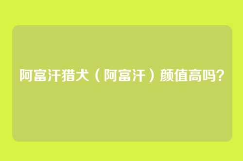 阿富汗猎犬（阿富汗）颜值高吗？