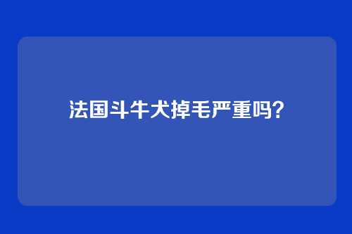 法国斗牛犬掉毛严重吗？