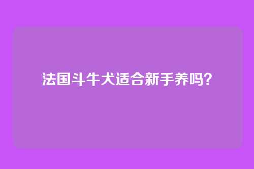 法国斗牛犬适合新手养吗？