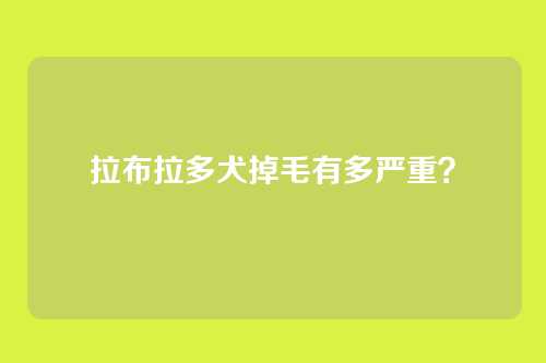 拉布拉多犬掉毛有多严重？