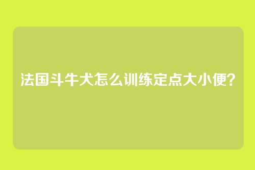 法国斗牛犬怎么训练定点大小便？