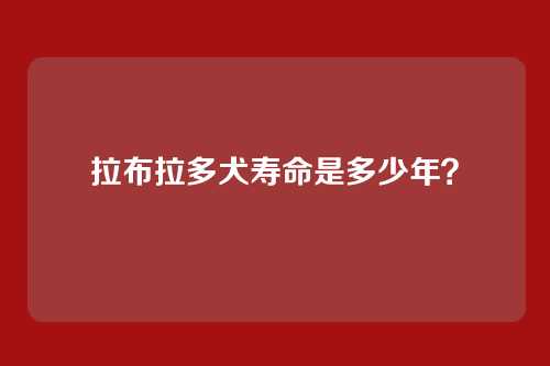 拉布拉多犬寿命是多少年？