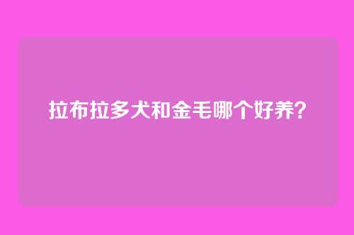 拉布拉多犬和金毛哪个好养？