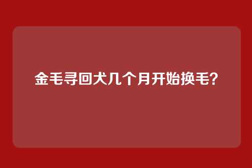 金毛寻回犬几个月开始换毛？