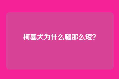 柯基犬为什么腿那么短？