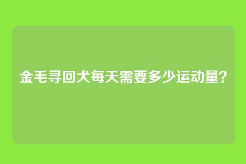 金毛寻回犬每天需要多少运动量？