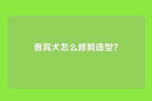 贵宾犬怎么修剪造型？