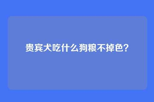 贵宾犬吃什么狗粮不掉色？
