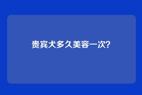 贵宾犬多久美容一次？