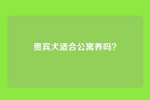贵宾犬适合公寓养吗？