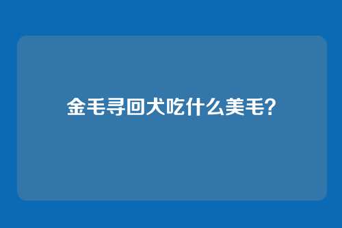 金毛寻回犬吃什么美毛？