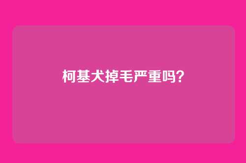 柯基犬掉毛严重吗？