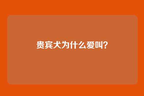 贵宾犬为什么爱叫？