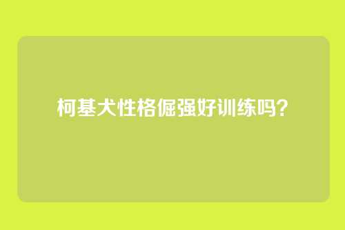 柯基犬性格倔强好训练吗？