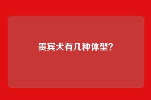 贵宾犬有几种体型？