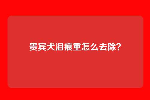 贵宾犬泪痕重怎么去除？