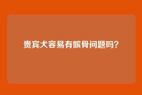 贵宾犬容易有髌骨问题吗？