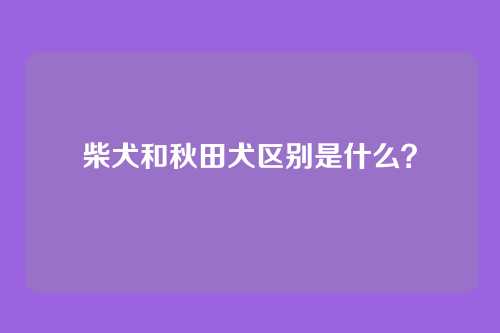 柴犬和秋田犬区别是什么？