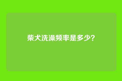 柴犬洗澡频率是多少？