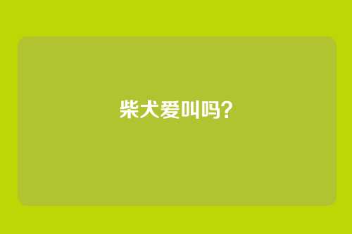 柴犬爱叫吗？