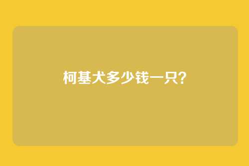 柯基犬多少钱一只？