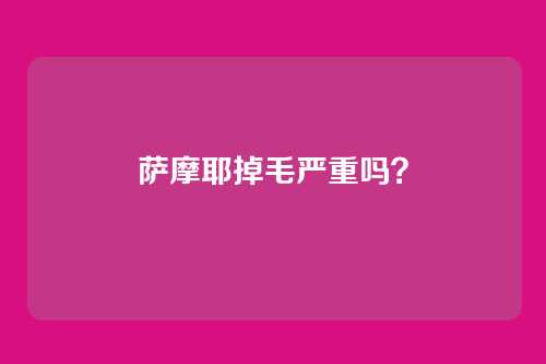 萨摩耶掉毛严重吗？