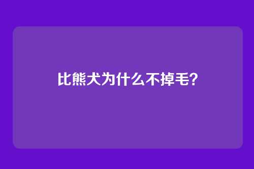 比熊犬为什么不掉毛？