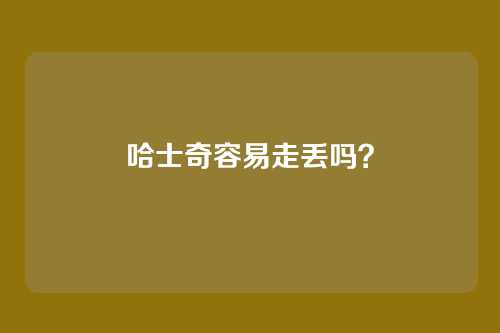 哈士奇容易走丢吗？