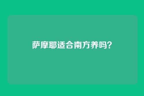 萨摩耶适合南方养吗？