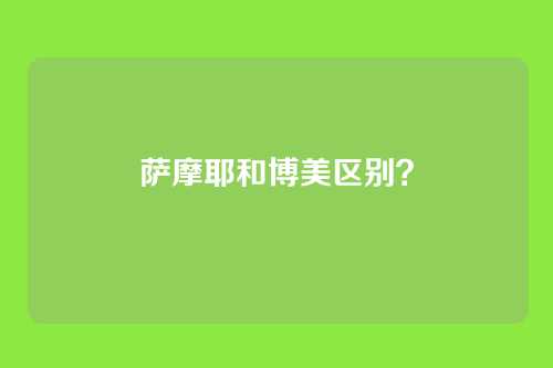 萨摩耶和博美区别？