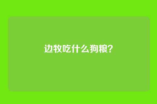 边牧吃什么狗粮?