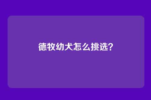 德牧幼犬怎么挑选？
