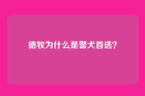 德牧为什么是警犬首选？