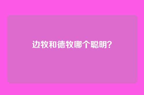 边牧和德牧哪个聪明？