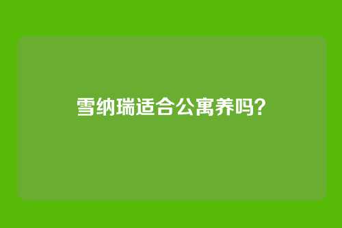 雪纳瑞适合公寓养吗?