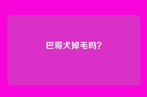 巴哥犬掉毛吗？