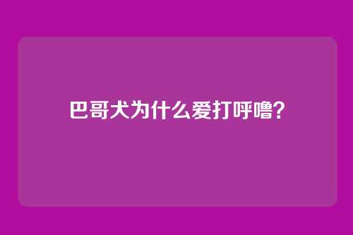 巴哥犬为什么爱打呼噜？