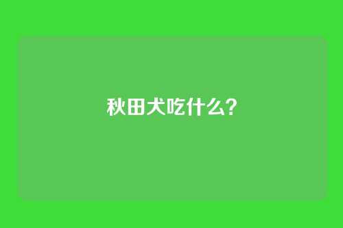 秋田犬吃什么？
